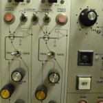 arp6 arp6