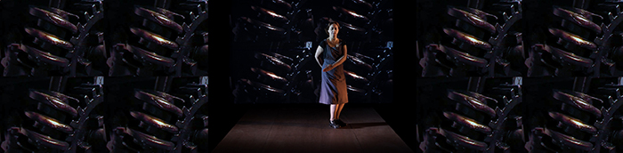 The Machinery (video installation)